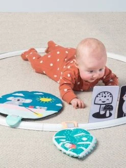 Cerceau D'activités Koala TAFTOYS Beige - Taf Toys -Hape Boutique cerceau dactivites koala taftoys 2