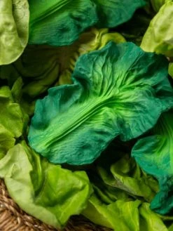 Jouet De Dentition Kendall La Feuille De Chou - OLI & CAROL Vert - Oli Et Carol -Hape Boutique jouet de dentition kendall la feuille de chou oli carol 4