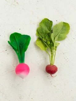 Jouet De Dentition Ramona Le Radis - OLI & CAROL Rose - Oli Et Carol -Hape Boutique jouet de dentition ramona le radis oli carol 5