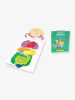 Kit Collector Les Organes Du Corps 3/7 Ans PANDACRAFT Violet - Pandacraft -Hape Boutique kit collector les organes du corps 37 ans pandacraft 5