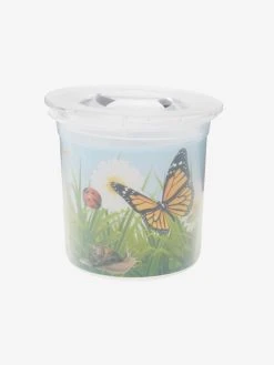 Kit De L'observateur D'insectes Vert - Vertbaudet -Hape Boutique kit de lobservateur dinsectes 2