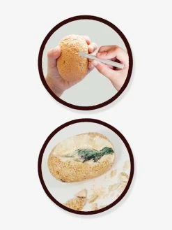 Maxi Pack 12 Oeufs Dinosaures - BUKI Orange - Buki -Hape Boutique maxi pack 12 oeufs dinosaures buki 2