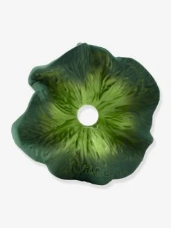 Mini Doudou Kendall Le Kale - OLI & CAROL Vert - Oli Et Carol -Hape Boutique mini doudou kendall le kale oli carol 2