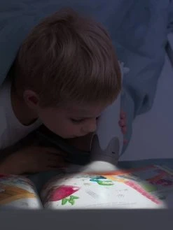 Veilleuse Torche Gina La Girafe - ZAZU Gris - Toutes Les Marques -Hape Boutique veilleuse torche gina la girafe zazu 4